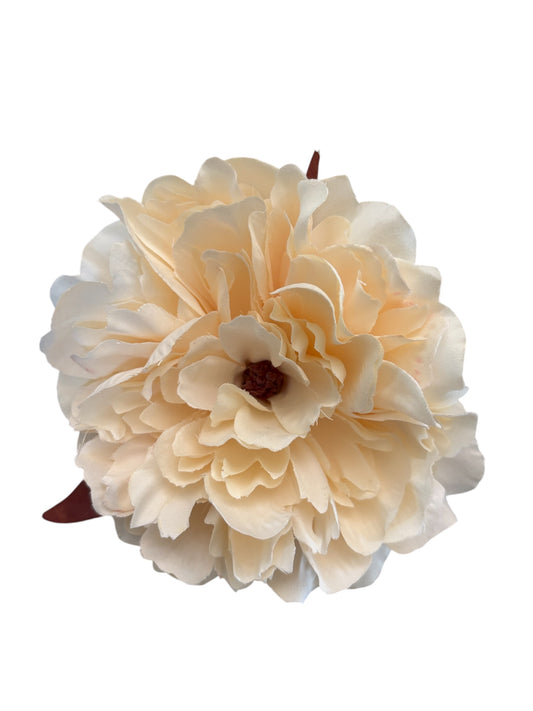 PEONIA BLANCO ROTO